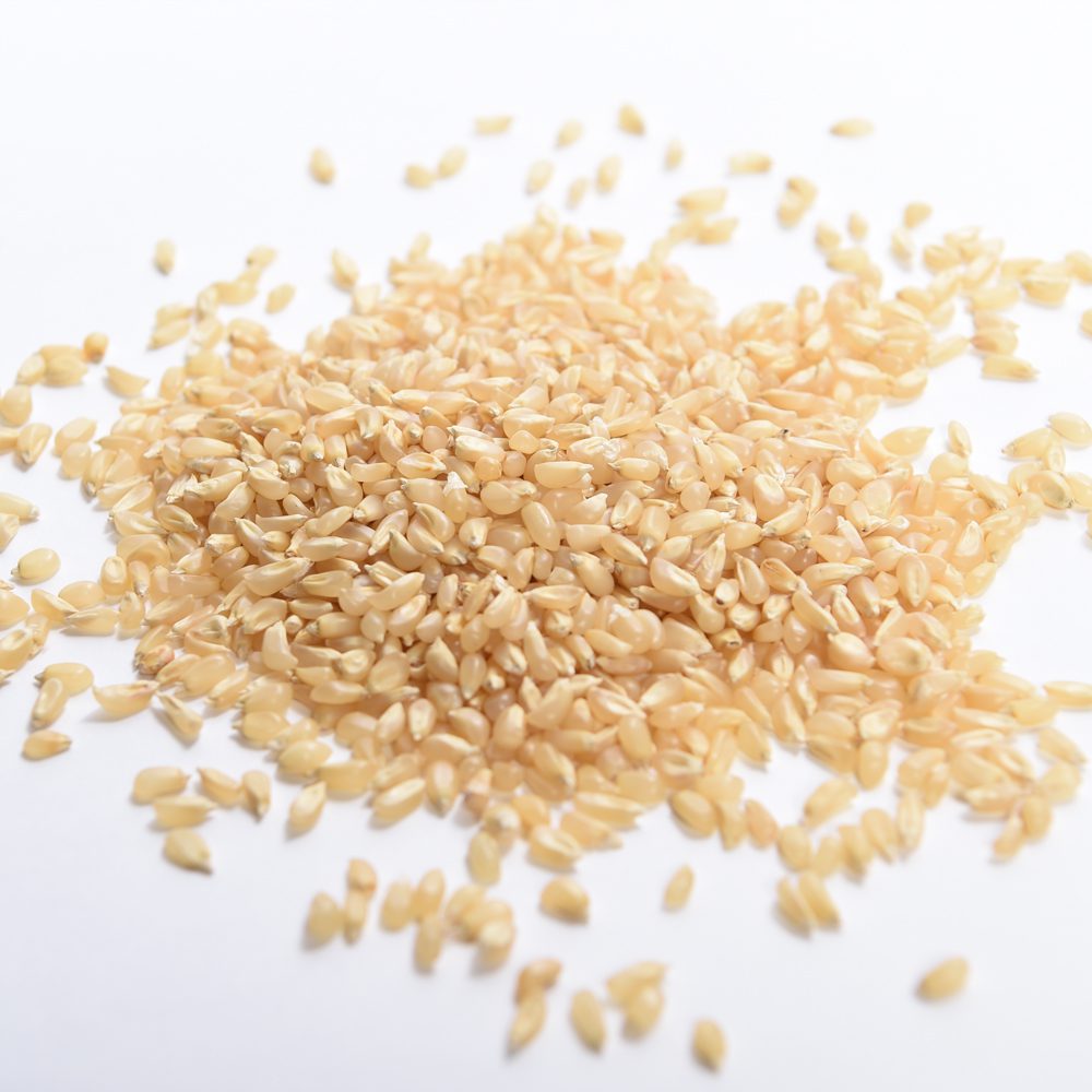 baby rice seed